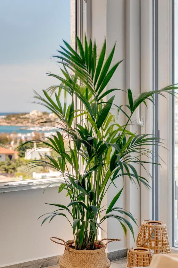 Villa Mare Syros Φοίνικας Εξωτερικό φωτογραφία